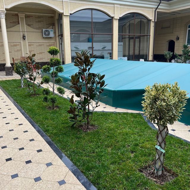 Газон, ландшафтный дизайн, декаративный Дарахтлар,Газон ва Арча уход