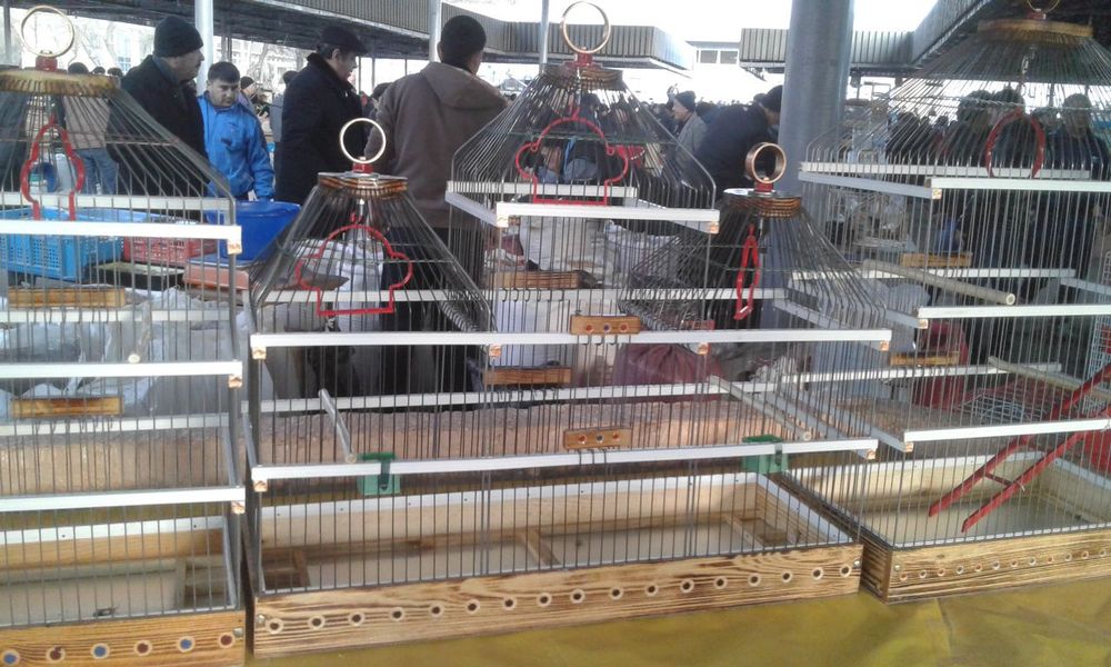 Клетки для попугаев и канареек.