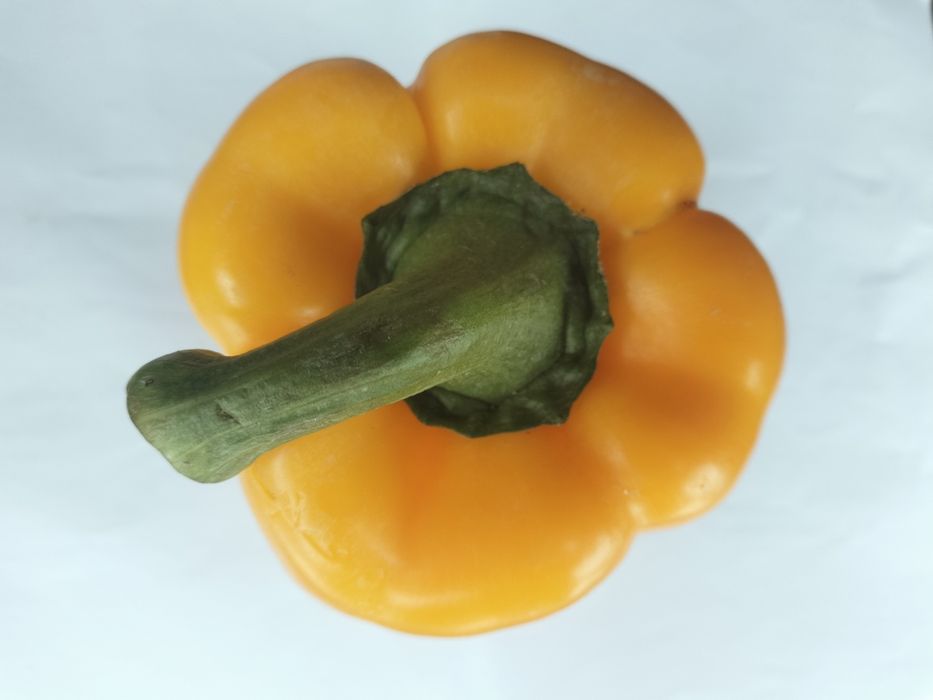 Сладкий болгарский перец (светафор)
