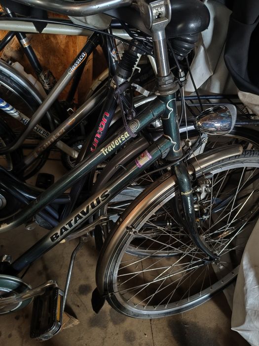 Biciclete olanda italia