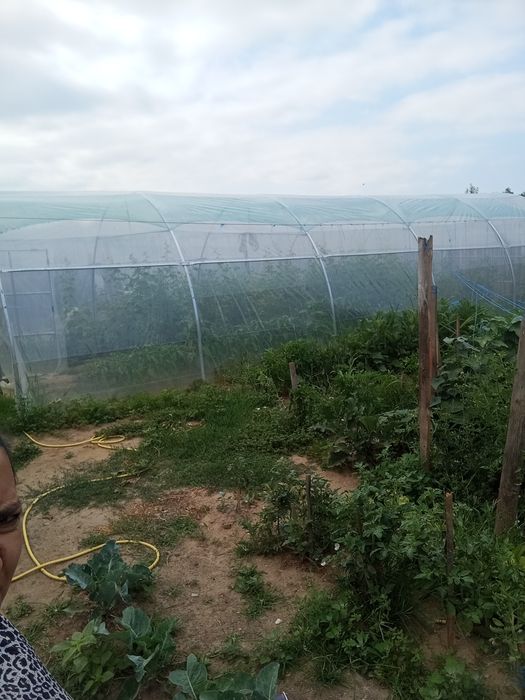 Vând solar folosit 2 luni 10 m lungime pe 4 lățime