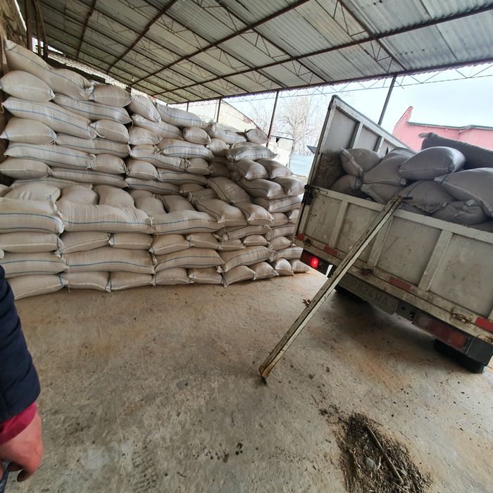 DONLI  KEPAK. Xaltasi 65..000 sum