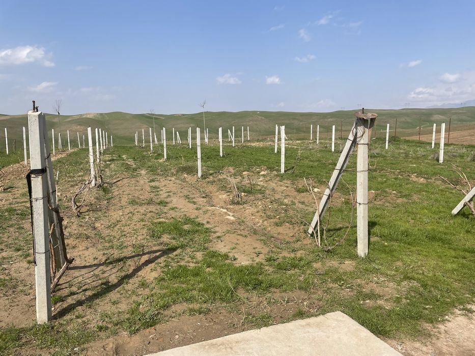 Продаются дачи на маковых полях