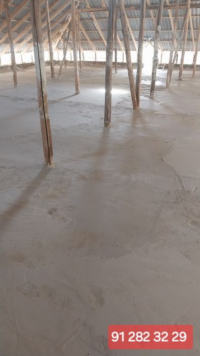 Томга пеналобаз куйиш