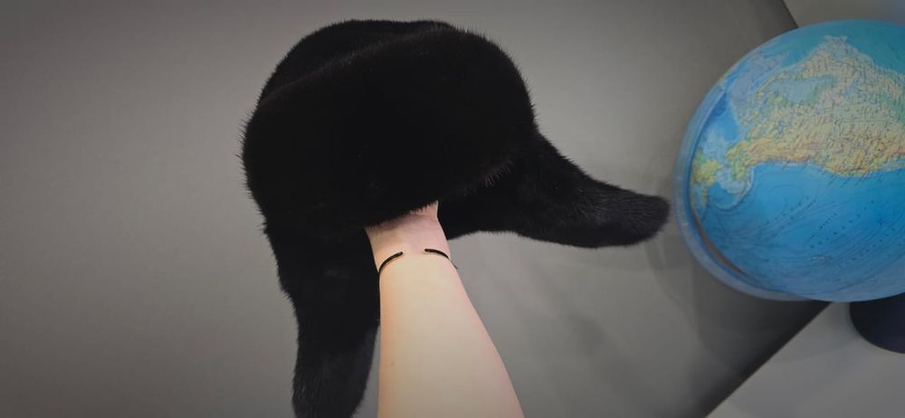 Норковая шапка ушанка мужская