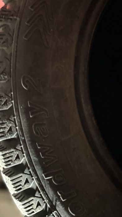 Шины зимние TUNGA NORDWAY 2