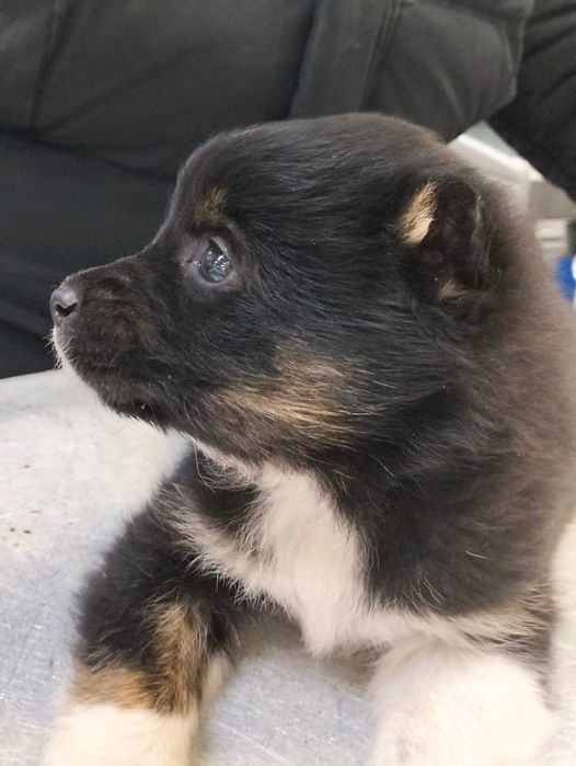 Кому? Кому? Только одному:-)