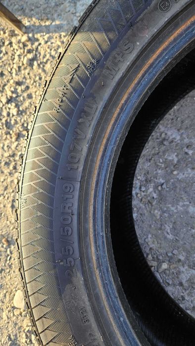 255/50 R19 • Iarna • Gripmax Stature MS 107V XL | 2 buc | Pret/buc