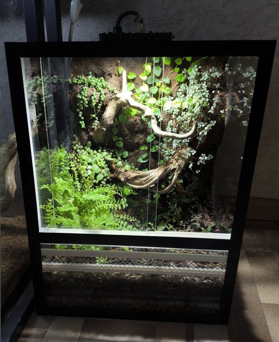 Террариум, флорариум