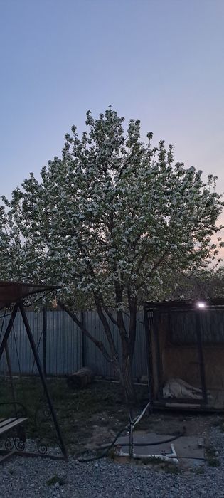 Продам дачу в районе Акжар ск олимпиец 1