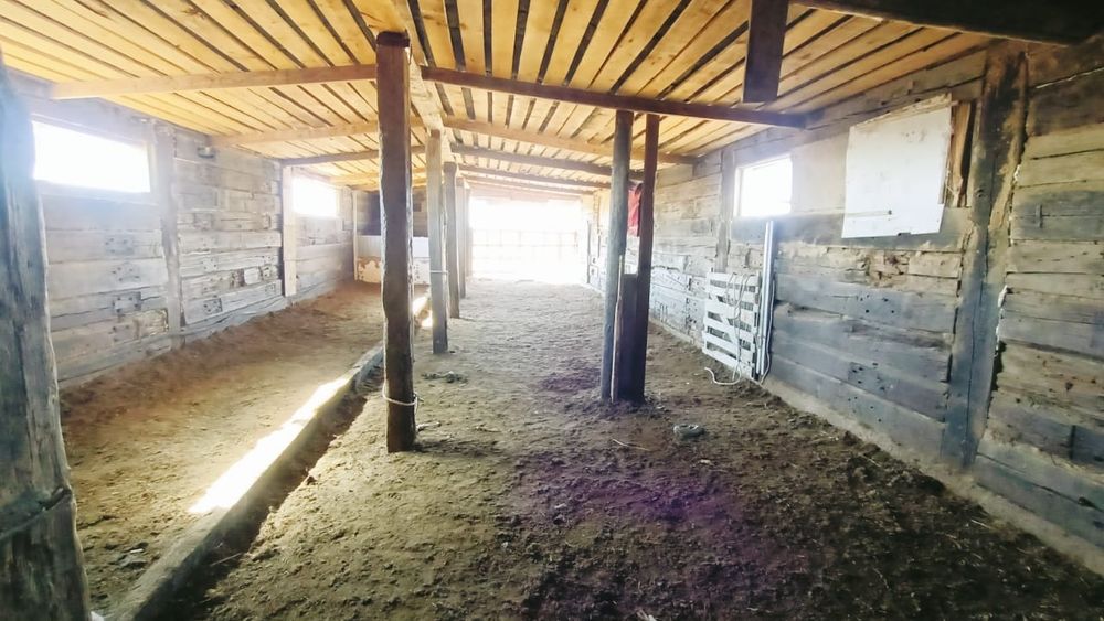 Продам хозяйства