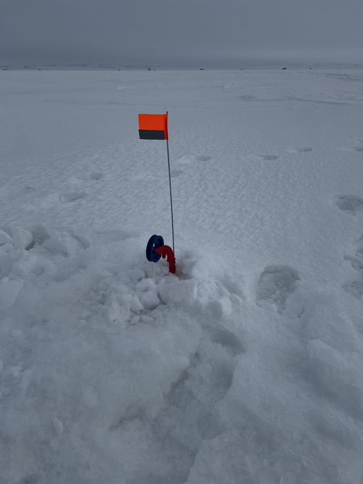 Жерлици на судака оснащенные