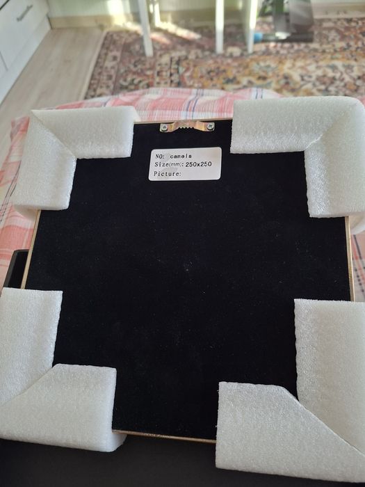 Продам пано Верблюд Новое