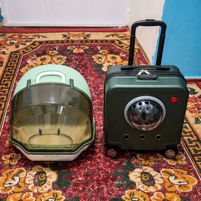 Qiz bola Bengal sotiladi xamma narsalari bilan