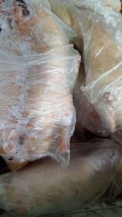 Продам домашних уток