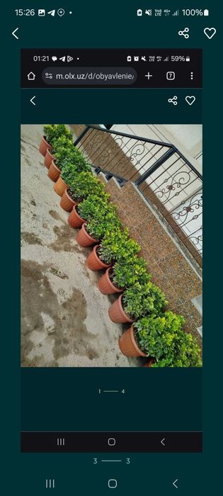 Индиа 1склети 4йиллик