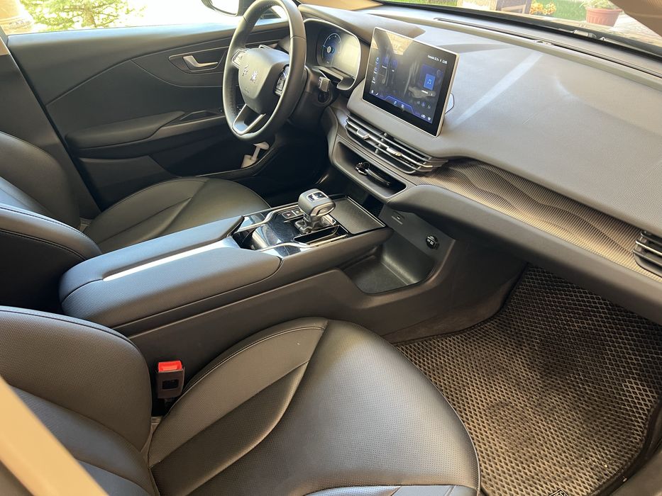 Hongqi E-QM5  Kraska Tozza 100%