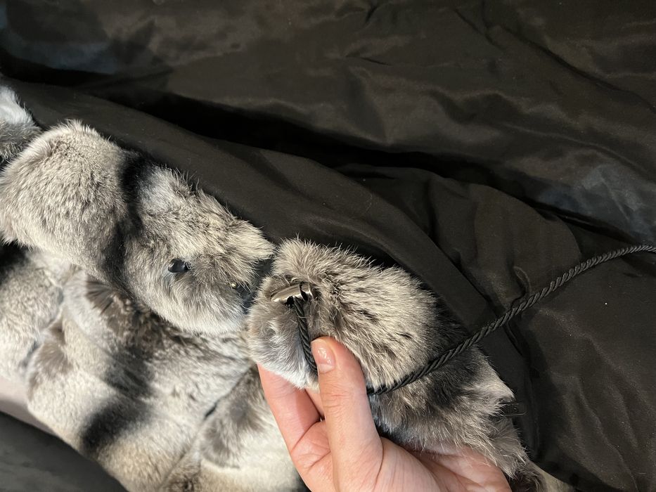 Продам шубу