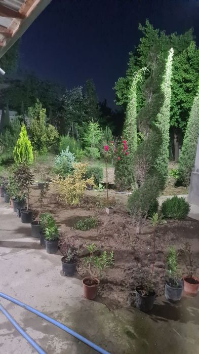 Продаётся дача в Янгиюльском районе