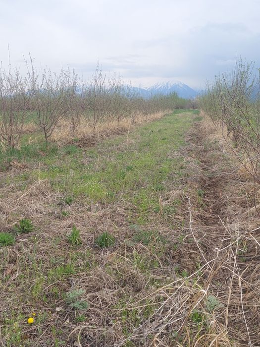 Все это поменяю Есике на дом прочитайте