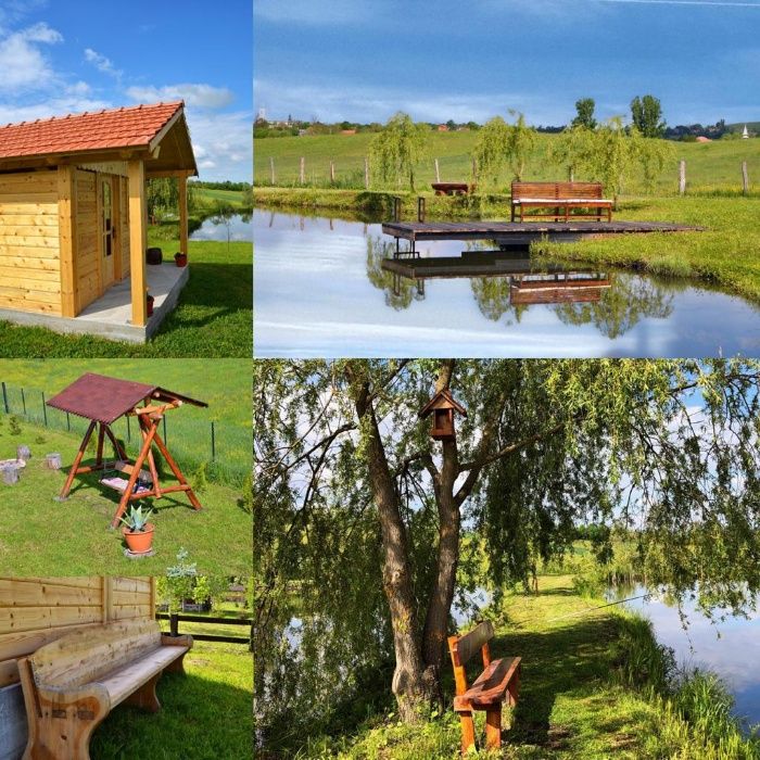 Cabana Livia - Bratca de inchiriat cu lac pentru pescuit