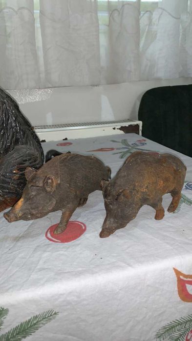 Porc mistret cu purceii