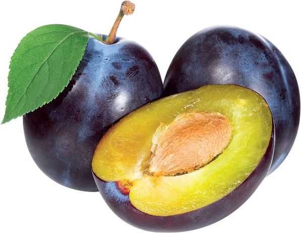 Мевали дарахтлар Кучат Нихол Дарахтча ШРЕДЕР