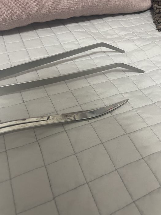 Ustensile pesti acvariu plante