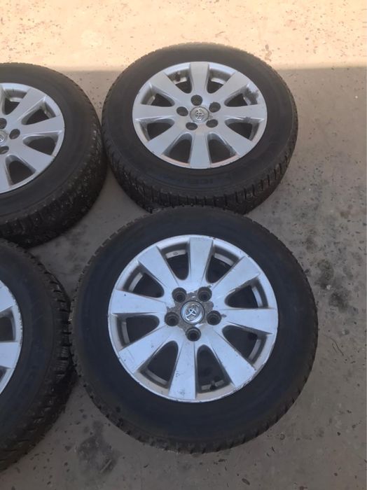 Зимний болан с дисками