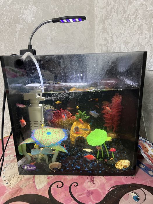 Аквариум со всеми принадлежнистями