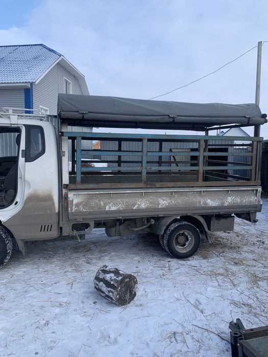 Перевозка КРС, лошадей, мрс