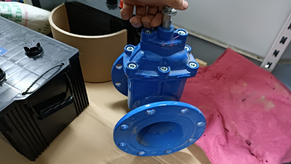 Задвижка только ватсап