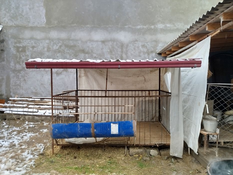 Qoyxona sotlad tegi pol qlngan anca baqvat narsalada yasalgan srocna