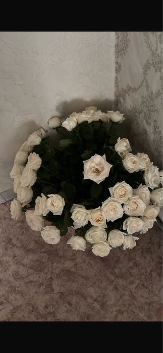 Продам букет белых роз 51 шт