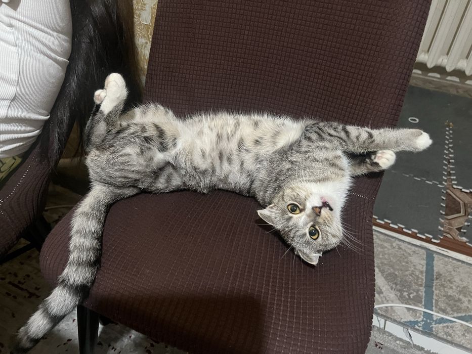 Вязкаға жігіт керек