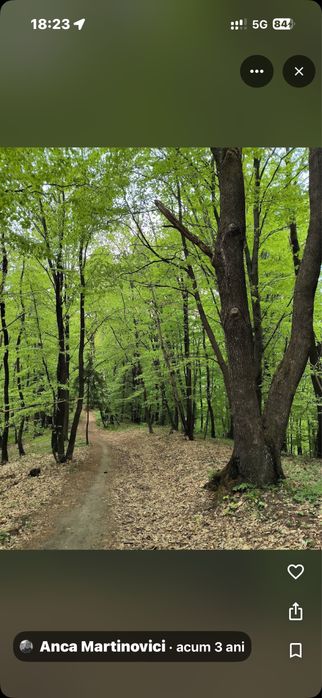 INVESTIȚIE STRATEGICĂ: 4 Hectare Compacte – Sălicea (Zona Vârful Peana), Comuna Ciurila 30€/mp