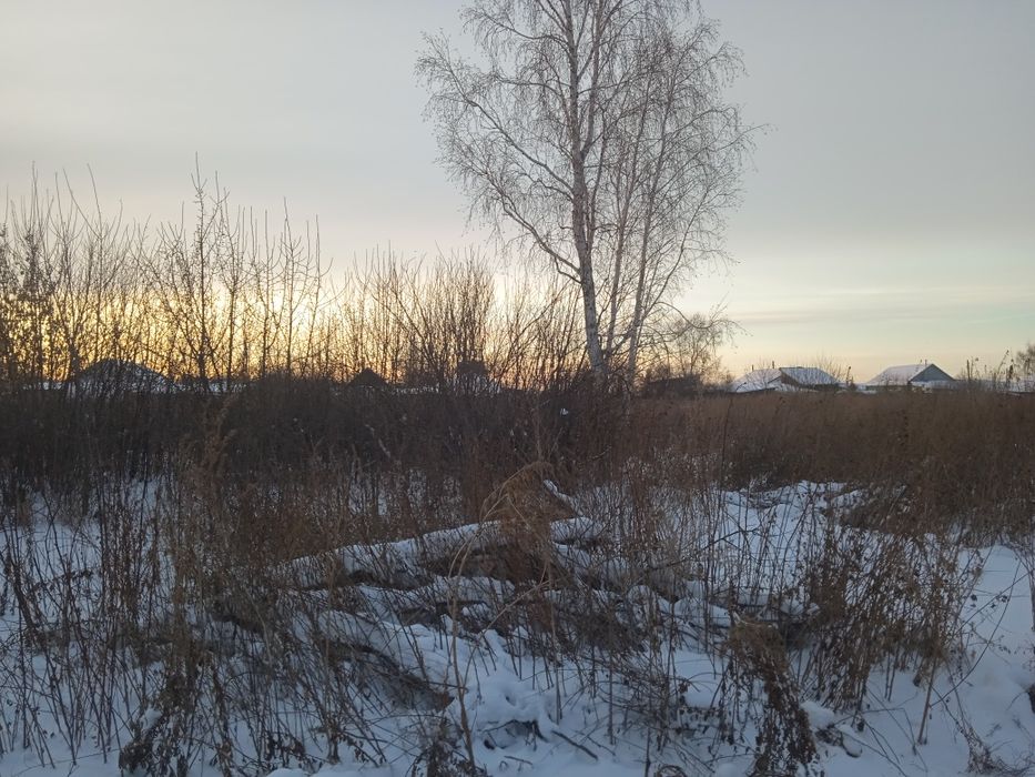 Продам дом С. Соколовка