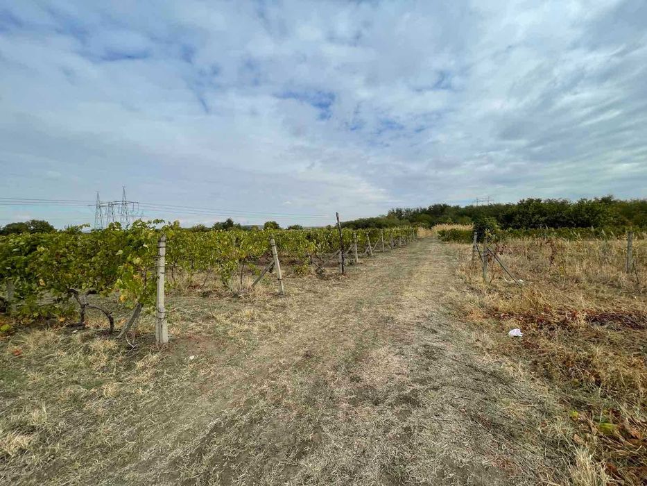 Продава се Парцел в Пловдив, Прослав - 1540 кв.м за 14 €/кв.м - Снимка #1