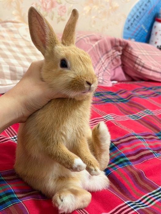 Yurakda qoladigan sovg‘a