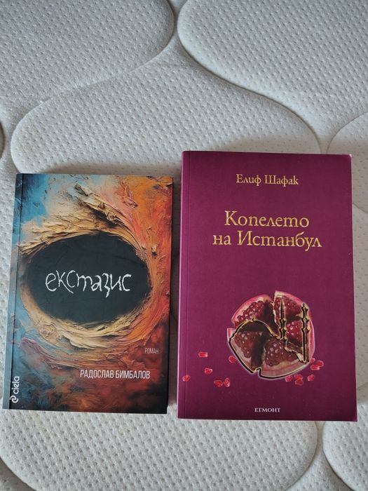 Книги за четене - Елиф Шафак