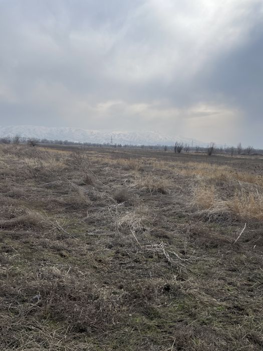 Продам участок 2 гектара