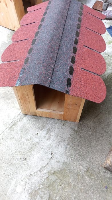 Vând cușcă pentru cîine