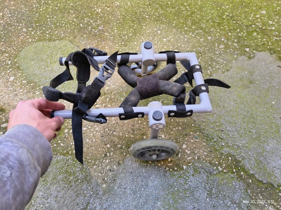 Инвалидна количка за малко куче / 10кг