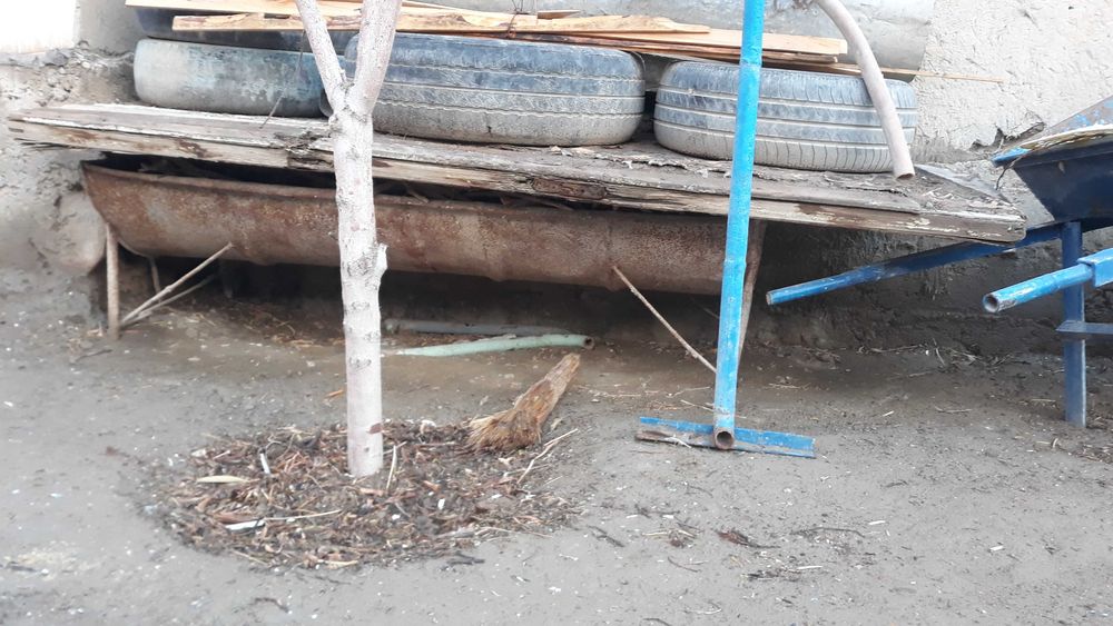 Кроват, охир, диван