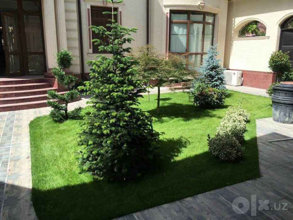 Archa kesish | daraxt kesamiz