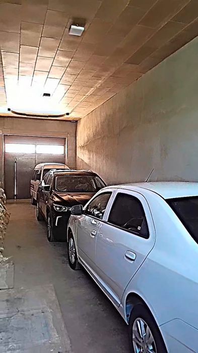 Coblt sotladi yili 2024