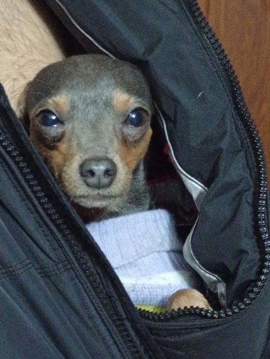 Ищем девочку для кабеля