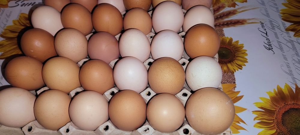 Ouă găini de casă livrat la domiciliu