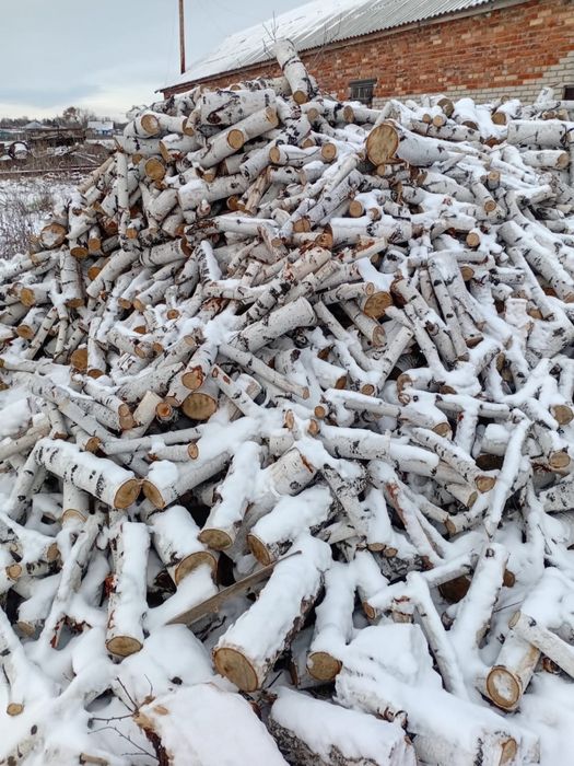 Продам дрова береза 10000 куб, самовывоз