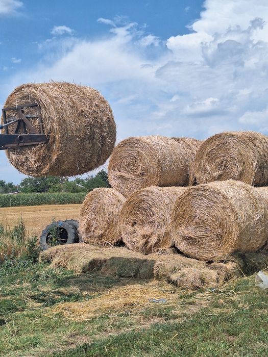 Vând baloți rotunzi de paie
